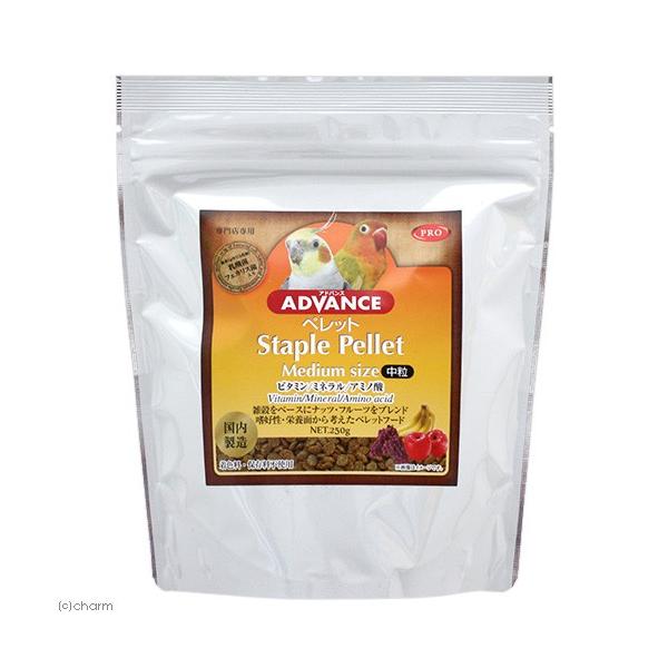 �m�o�e�@�o�q�n�@�`�c�u�`�m�b�d�@�y���b�g�@�~�f�B�A���T�C�Y�@�Q�T�O���@�����@�����h�{�H