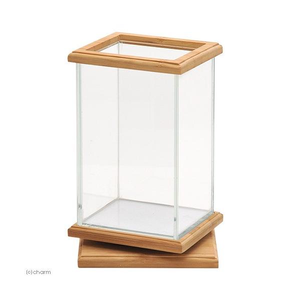 水槽 ベタ インテリアの人気商品 通販 価格比較 価格 Com