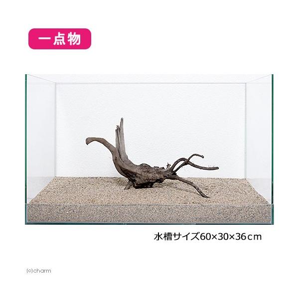 60cm 水槽 流木の人気商品 通販 価格比較 価格 Com
