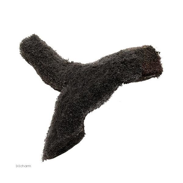 dohvda@a@r@r@QTO@GsEFu@p_E@eE@roE