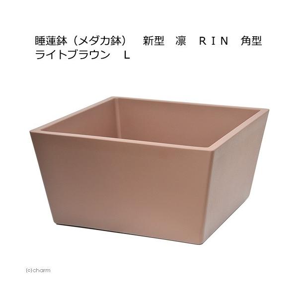 @@[J[@@i_Jj@V^@z@qhm@p^@CguE@k@@EE_J@s