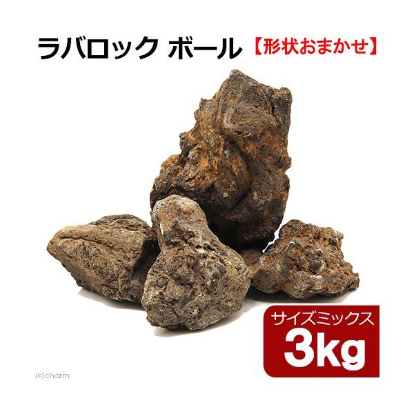 `󂨔C@obN@{[@TCY~bNX@R@RO@n΁@ANAE@CAEgf