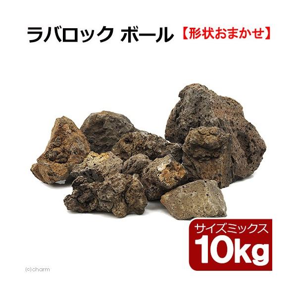 `󂨔C@obN@{[@TCY~bNX@PO@n΁@UO@ANAE@CAEgf