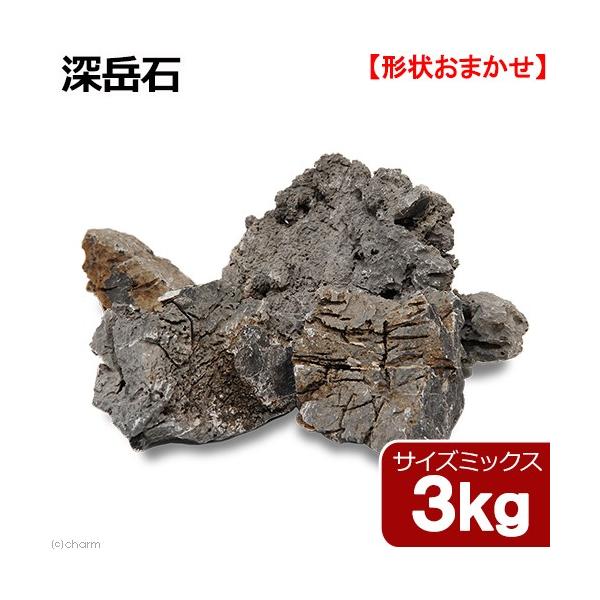 `󂨔C@[x΁@TCY~bNX@R@RO@ANAE@CAEgf