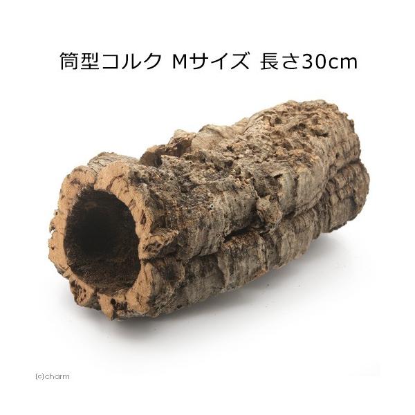 Leaf Corp 形状お任せ 筒型コルク Mサイズ 長さ30cm 蘭 エア