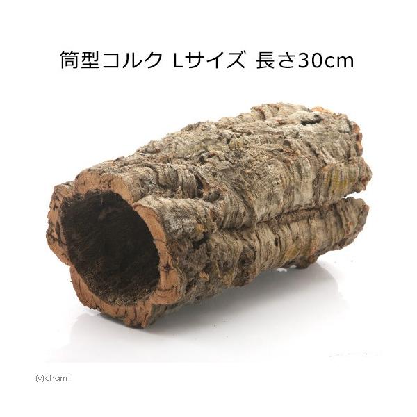 Leaf Corp 形状お任せ 筒型コルク Lサイズ 長さ30cm 蘭 エア