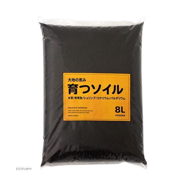 ANAeC[Y@ňb݁@\C@pE_[@Wk@@ANAE@_