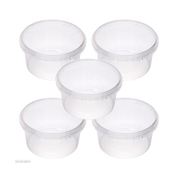 vJbv@n[h^Cv@TOO×T@JugV@NK^@@c@ɐB@ۑe