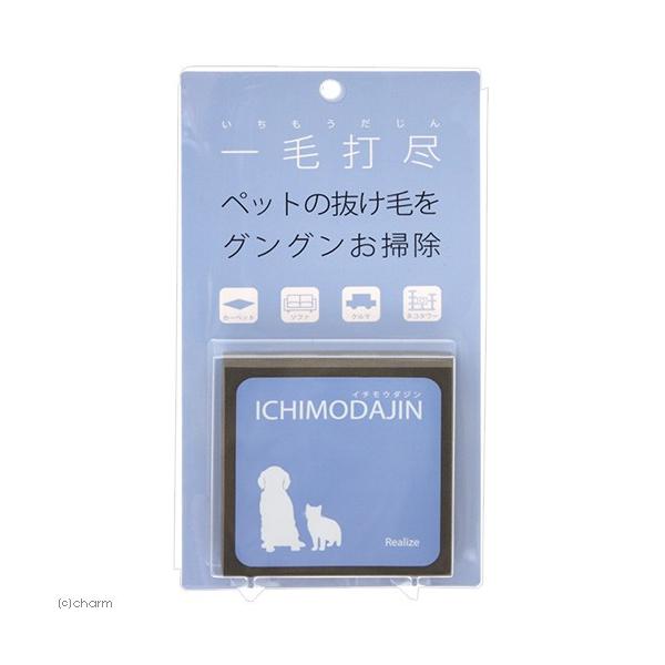 他サイト： リアライズ　一毛打尽　毛取りスポンジの商品画像