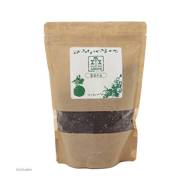 itm@ۋʂ̓y@VOO@eE@RPeE@