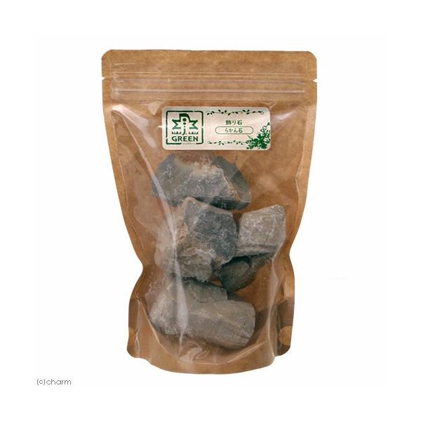 itm@΁@炩΁@PpbN@eE@p_E@CAEgpi