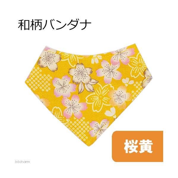 k@L̂߂̂͂Ȃao_i@͗l@PS`PW@