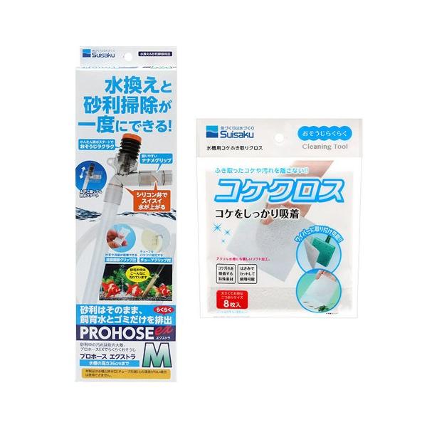 @vz[XGNXg@l{RPNX@W@@|