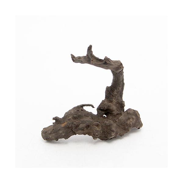 `󂨔C@ύݍς݁@[cEbh@rTCYiPT`QTj@P{@CAEgfށ@