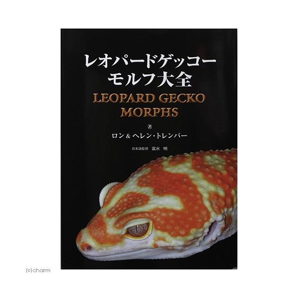 レオパードゲッコー モルフ大全 : チャーム charm ヤフー店