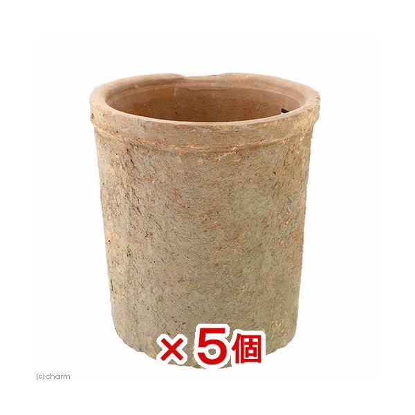 @AeB[N|bg@aPR×PSDT@ԁ@X|bg@V_[@A@R[fbNX@AKx@T