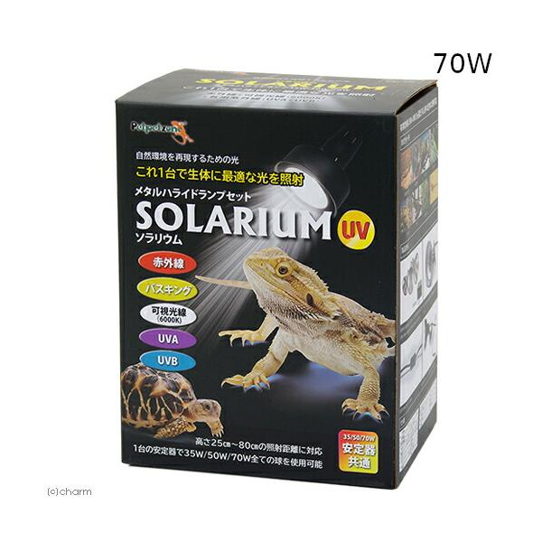 メーカー：ゼンスイ _hachu　ゼンスイ　ソラリウム　７０Ｗ　ランプ　交換球　ソケットセット　4934743004963　20191106　ＧＢＮＭ　両生類　爬虫類　地表性トカゲ　半水棲ガメ　イグアナ　ヒルヤモリ　リクガメ　アガマレオン　...