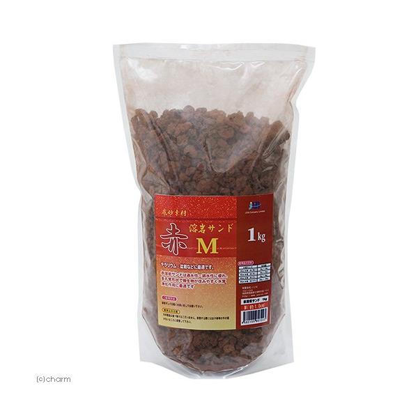 itm@ԗnTh@l@P@Eށ@TCYFPO