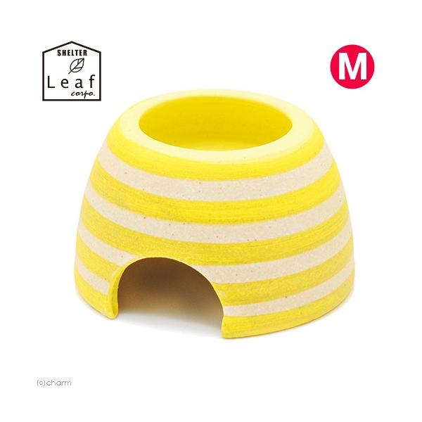 VF^[@{[_[EFbgVF^[@CG[@l@Myā@঒ށ@