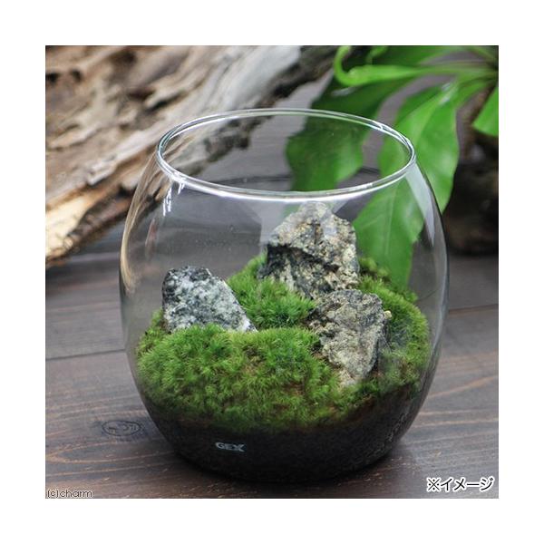 iϗtAjfdw@OXANAE@hbv@`Zbg@{Bl