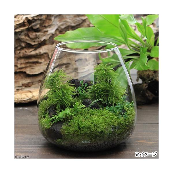 iϗtAjfdw@OXANA@eBA[@m@eZbg@{Bl