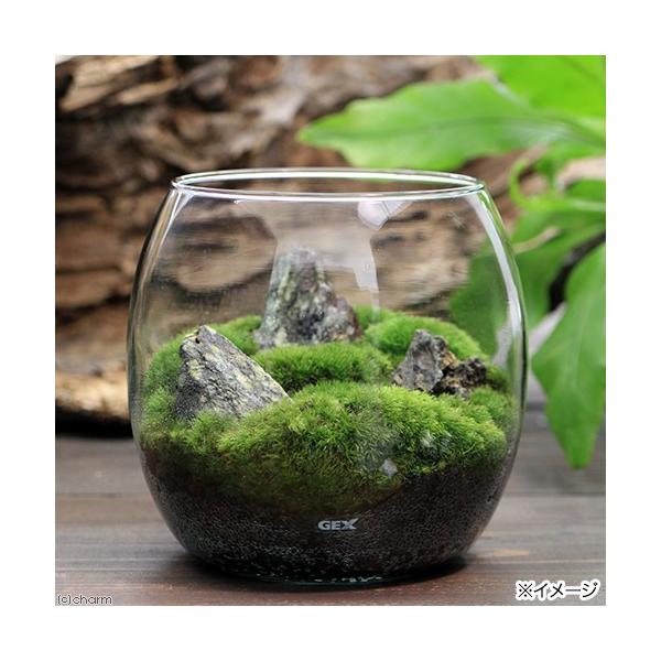 iϗtAjfdw@OXANAE@hbv@fZbg@{Bl