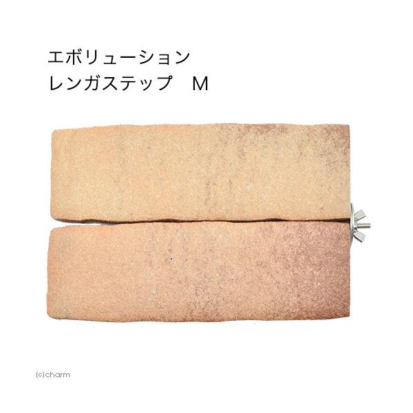エボリューション　レンガステップ　Ｍ