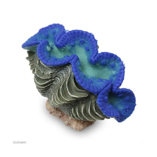 [XC@ydrs@vJTS@r|PO@Cu[