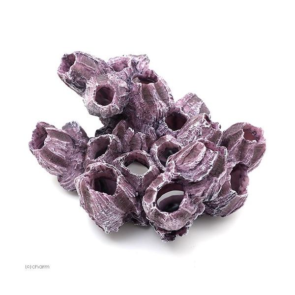 [XC@ydrs@vJTS@l|T@p[vzCg