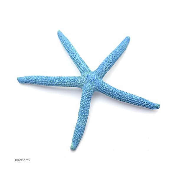 [XC@ydrs@vJTS@l|U@XJCu[