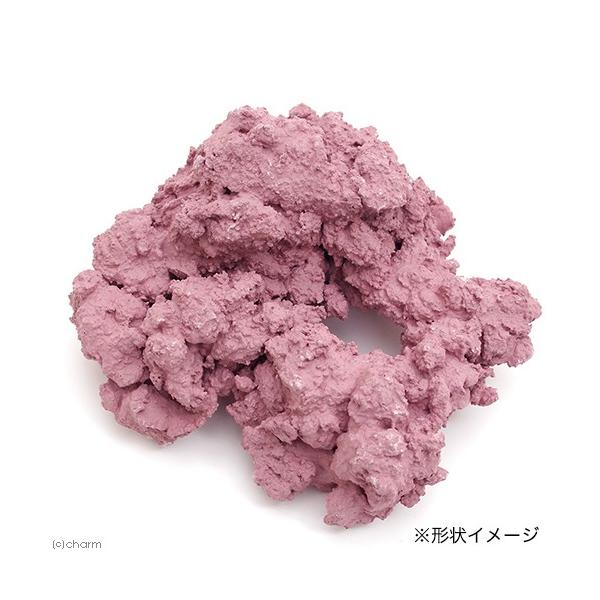 レイアウト用品 レプリカ ライブロック 水槽用 ペットの人気商品 通販 価格比較 価格 Com