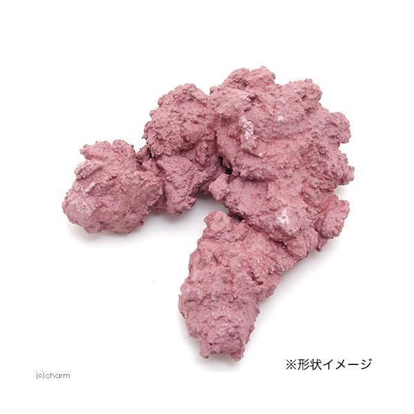 }fUC@}CubNE~j@CubNvJ@TS@tO