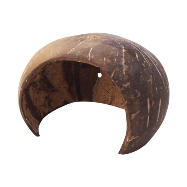 C{[@QRRibc@nEX@nX^[@fO[@K