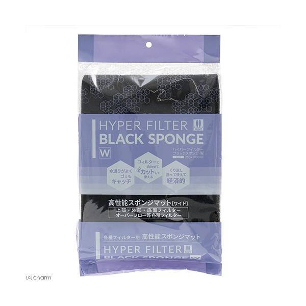 }c_@nCp[tB^[@ubNX|W@v@㕔tB^[@p}bg