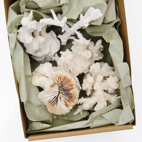 TSELk@lTCYiTZbgj@i`󂨔Cj