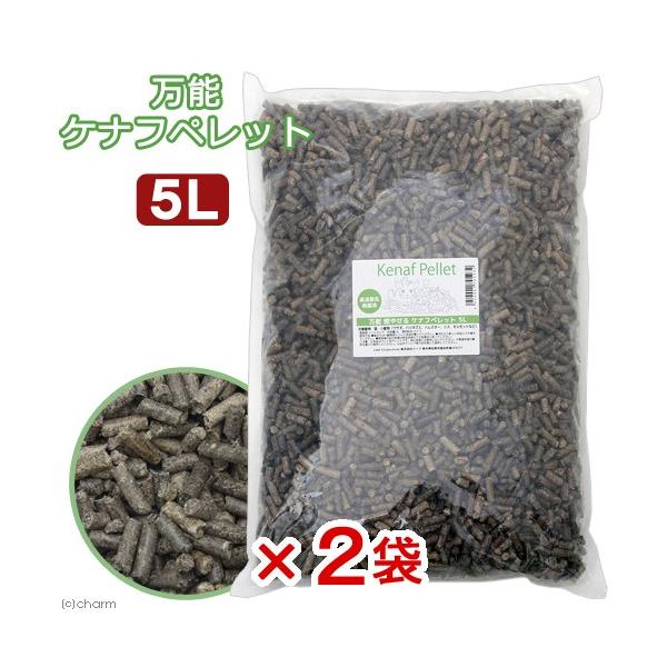 \Pitybg@Tk×Q@gC@؍ށ@L@@``@bg@p@llS_@L@gC