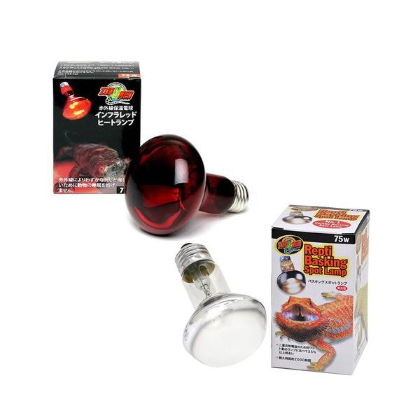 ۉoXLOv@VTv@ynnldc@ԊOۉd@Ctbhq[gv{veB@oXLOX|bgv