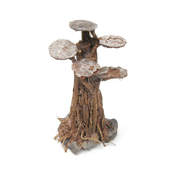 `󂨔C@CAEg~͗؁@tbg^Cv@kTCY@P{@CAEgf