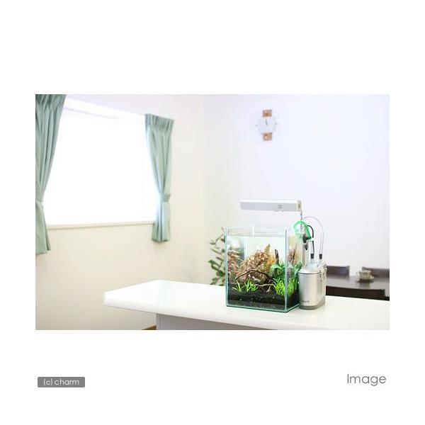 ij炭炭^pZbgitji_jiPZbgj