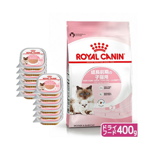  CANIN 子猫用 成長後期ドライフード 10kg ➕成長前期4kg ロイヤルカナン（ROYAL CANIN） 猫 成長前期の子猫用ドライウェット