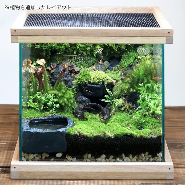 イモリウム 〜イモリの洞窟〜 レイアウトセット お一人様2点限り