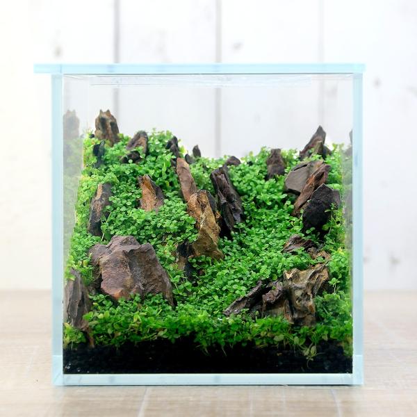 ij{ih{geE̊b@`j[[Wp[OX̑`@{Bl