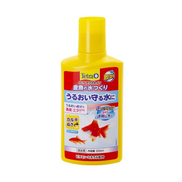 eg@̐@QTO@Sی@JL@dQ@~lY@߃oNeA̒蒅i