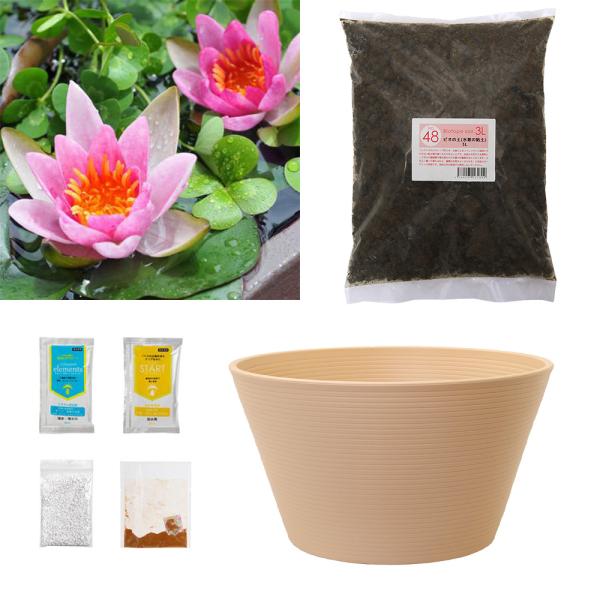 スイレン　睡蓮　栽培　育て方　ビオトープ　ビオセット購入時限定　ヒメスイレン　スイレンと鉢のセット　姫スイレン　姫スイレンセット　陶鉢　すえはち　寄型３６０きん茶　set_hime_red　set_sue_360　set_nomedaka　...