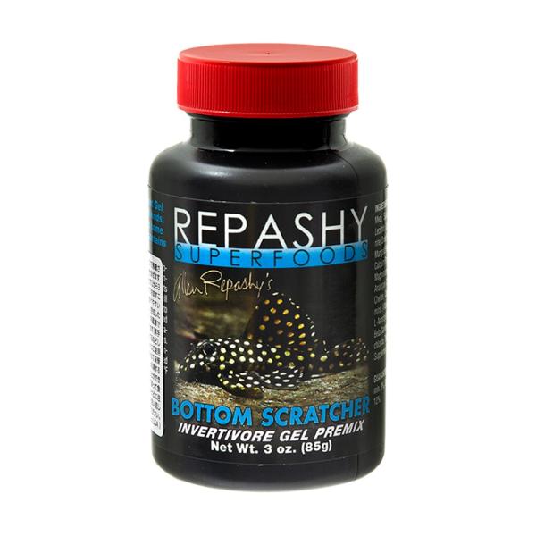 pV[@X[p[t[h@{gXNb`[@R@HnvRplH@Qt[h