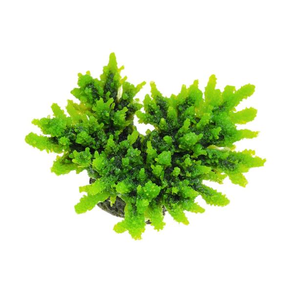 krr@vJTS@X[R[@sq|V@f