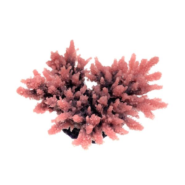 krr@vJTS@X[R[@sq|V@o