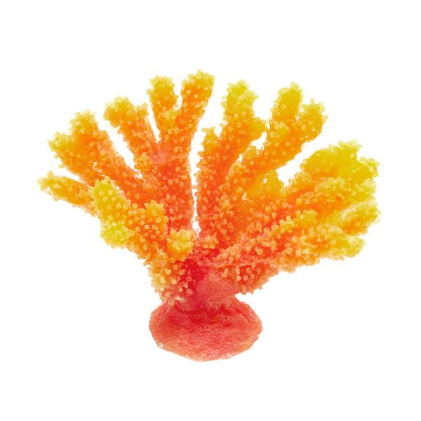 krr@vJTS@X[R[@sq|X@n