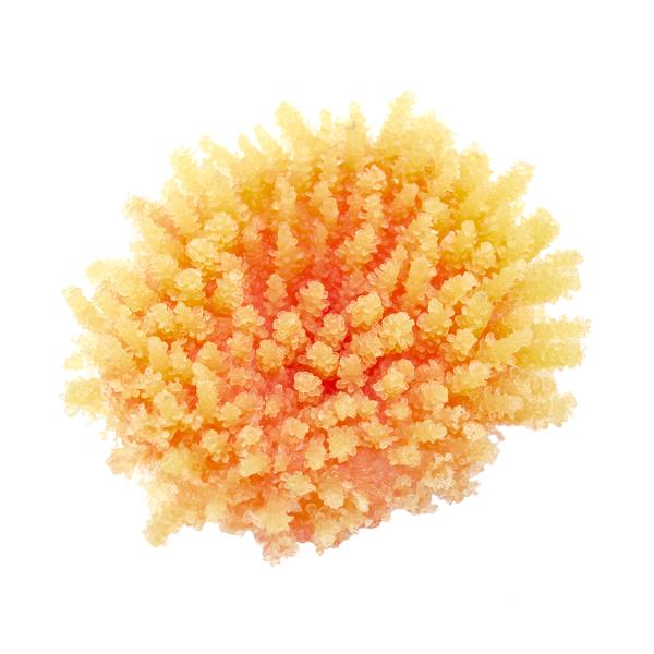 krr@vJTS@X[R[@sq|PQ@n