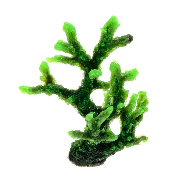 krr@vJTS@X[R[@sq|PS@f